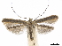  ( - CCDB-34789-F04)  @11 [ ] CreativeCommons - Attribution (2020) CBG Photography Group Centre for Biodiversity Genomics