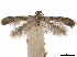  ( - CCDB-34789-F05)  @11 [ ] CreativeCommons - Attribution (2020) CBG Photography Group Centre for Biodiversity Genomics