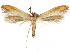  ( - CCDB-34789-G07)  @11 [ ] CreativeCommons - Attribution (2020) CBG Photography Group Centre for Biodiversity Genomics