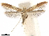  ( - CCDB-34789-G11)  @11 [ ] CreativeCommons - Attribution (2020) CBG Photography Group Centre for Biodiversity Genomics