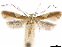  ( - CCDB-34789-G12)  @11 [ ] CreativeCommons - Attribution (2020) CBG Photography Group Centre for Biodiversity Genomics
