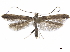  ( - CCDB-34790-A01)  @11 [ ] CreativeCommons - Attribution (2019) CBG Photography Group Centre for Biodiversity Genomics