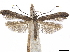  ( - CCDB-34790-A02)  @11 [ ] CreativeCommons - Attribution (2019) CBG Photography Group Centre for Biodiversity Genomics