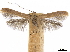  ( - CCDB-34790-A04)  @11 [ ] CreativeCommons - Attribution (2019) CBG Photography Group Centre for Biodiversity Genomics