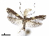 ( - CCDB-34790-B08)  @11 [ ] CreativeCommons - Attribution (2019) CBG Photography Group Centre for Biodiversity Genomics