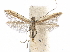  ( - CCDB-34790-C01)  @11 [ ] CreativeCommons - Attribution (2019) CBG Photography Group Centre for Biodiversity Genomics