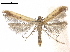  ( - CCDB-34790-C02)  @13 [ ] CreativeCommons - Attribution (2019) CBG Photography Group Centre for Biodiversity Genomics