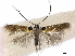 ( - CCDB-34790-D02)  @11 [ ] CreativeCommons - Attribution (2019) CBG Photography Group Centre for Biodiversity Genomics