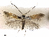  ( - CCDB-34790-D03)  @11 [ ] CreativeCommons - Attribution (2019) CBG Photography Group Centre for Biodiversity Genomics
