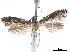  ( - CCDB-34790-H06)  @11 [ ] CreativeCommons - Attribution (2019) CBG Photography Group Centre for Biodiversity Genomics