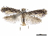  ( - CCDB-34790-H07)  @11 [ ] CreativeCommons - Attribution (2019) CBG Photography Group Centre for Biodiversity Genomics