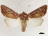  ( - CCDB-34793-G03)  @11 [ ] CreativeCommons - Attribution (2020) CBG Photography Group Centre for Biodiversity Genomics