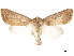  ( - CCDB-34793-G04)  @11 [ ] CreativeCommons - Attribution (2020) CBG Photography Group Centre for Biodiversity Genomics