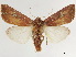  ( - CCDB-34793-G05)  @11 [ ] CreativeCommons - Attribution (2020) CBG Photography Group Centre for Biodiversity Genomics