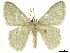 ( - CCDB-34794-A08)  @11 [ ] CreativeCommons - Attribution (2020) CBG Photography Group Centre for Biodiversity Genomics