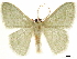  ( - CCDB-34794-A09)  @11 [ ] CreativeCommons - Attribution (2020) CBG Photography Group Centre for Biodiversity Genomics