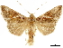  ( - CCDB-34794-A10)  @15 [ ] CreativeCommons - Attribution (2020) CBG Photography Group Centre for Biodiversity Genomics
