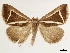  ( - CCDB-34794-E07)  @11 [ ] CreativeCommons - Attribution (2020) CBG Photography Group Centre for Biodiversity Genomics