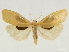  ( - CCDB-34794-H10)  @11 [ ] CreativeCommons - Attribution (2020) CBG Photography Group Centre for Biodiversity Genomics