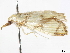  ( - CCDB-34954-C03)  @11 [ ] CreativeCommons - Attribution (2020) CBG Photography Group Centre for Biodiversity Genomics