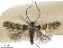  ( - CCDB-35905-E01)  @11 [ ] CreativeCommons - Attribution (2020) CBG Photography Group Centre for Biodiversity Genomics