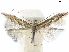  ( - CCDB-35905-H04)  @11 [ ] CreativeCommons - Attribution (2020) CBG Photography Group Centre for Biodiversity Genomics