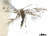  ( - CCDB-35906-C05)  @11 [ ] CreativeCommons - Attribution (2020) CBG Photography Group Centre for Biodiversity Genomics