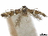  ( - CCDB-35906-D04)  @11 [ ] CreativeCommons - Attribution (2020) CBG Photography Group Centre for Biodiversity Genomics