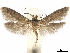  ( - CCDB-35907-G04)  @11 [ ] CreativeCommons - Attribution (2020) CBG Photography Group Centre for Biodiversity Genomics
