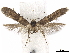 ( - CCDB-35907-G12)  @13 [ ] CreativeCommons - Attribution (2020) CBG Photography Group Centre for Biodiversity Genomics