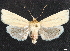  ( - CCDB-35908-A05)  @11 [ ] CreativeCommons - Attribution (2020) CBG Photography Group Centre for Biodiversity Genomics