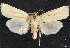  ( - CCDB-35908-A07)  @11 [ ] CreativeCommons - Attribution (2020) CBG Photography Group Centre for Biodiversity Genomics