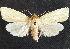  ( - CCDB-35908-A09)  @11 [ ] CreativeCommons - Attribution (2020) CBG Photography Group Centre for Biodiversity Genomics
