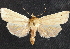  ( - CCDB-35908-A10)  @11 [ ] CreativeCommons - Attribution (2020) CBG Photography Group Centre for Biodiversity Genomics