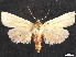  ( - CCDB-35908-A12)  @11 [ ] CreativeCommons - Attribution (2020) CBG Photography Group Centre for Biodiversity Genomics