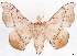  ( - CCDB-35908-C03)  @11 [ ] CreativeCommons - Attribution (2020) CBG Photography Group Centre for Biodiversity Genomics