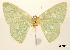  ( - USNM ENT 01920453)  @11 [ ] Unspecified (default): All Rights Reserved  Unspecified Unspecified