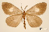 ( - USNM ENT 01920220)  @11 [ ] Unspecified (default): All Rights Reserved  Unspecified Unspecified