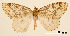  ( - USNM ENT 01920221)  @11 [ ] Unspecified (default): All Rights Reserved  Unspecified Unspecified