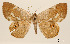  ( - USNM ENT 01920380)  @11 [ ] Unspecified (default): All Rights Reserved  Unspecified Unspecified