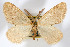  ( - AMNH_IZC 00197024)  @11 [ ] Unspecified (default): All Rights Reserved  Unspecified Unspecified