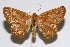  ( - USNM ENT 01920395)  @11 [ ] Unspecified (default): All Rights Reserved  Unspecified Unspecified