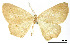  ( - USNM ENT 01920240)  @11 [ ] Unspecified (default): All Rights Reserved  Unspecified Unspecified
