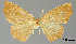  ( - USNM ENT 01920401)  @11 [ ] Unspecified (default): All Rights Reserved  Unspecified Unspecified