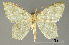  ( - USNM ENT 01920484)  @11 [ ] Unspecified (default): All Rights Reserved  Unspecified Unspecified