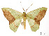  ( - USNM ENT 01920485)  @11 [ ] Unspecified (default): All Rights Reserved  Unspecified Unspecified