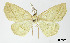  ( - USNM ENT 01920406)  @11 [ ] Unspecified (default): All Rights Reserved  Unspecified Unspecified