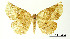  ( - USNM ENT 01920250)  @11 [ ] Unspecified (default): All Rights Reserved  Unspecified Unspecified
