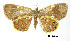  ( - USNM ENT 01920413)  @11 [ ] Unspecified (default): All Rights Reserved  Unspecified Unspecified