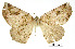  ( - USNM ENT 01920414)  @11 [ ] Unspecified (default): All Rights Reserved  Unspecified Unspecified